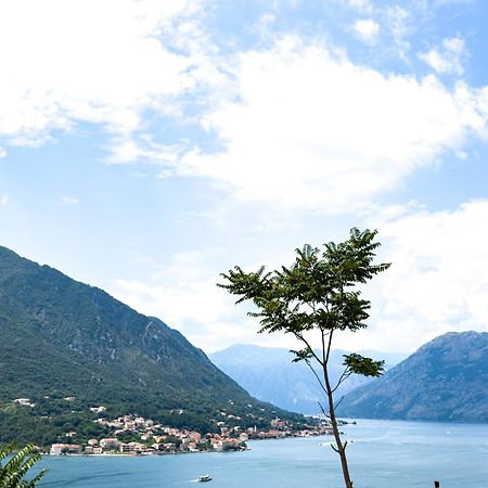 Apartmán Animil 1 Kotor Exteriér fotografie