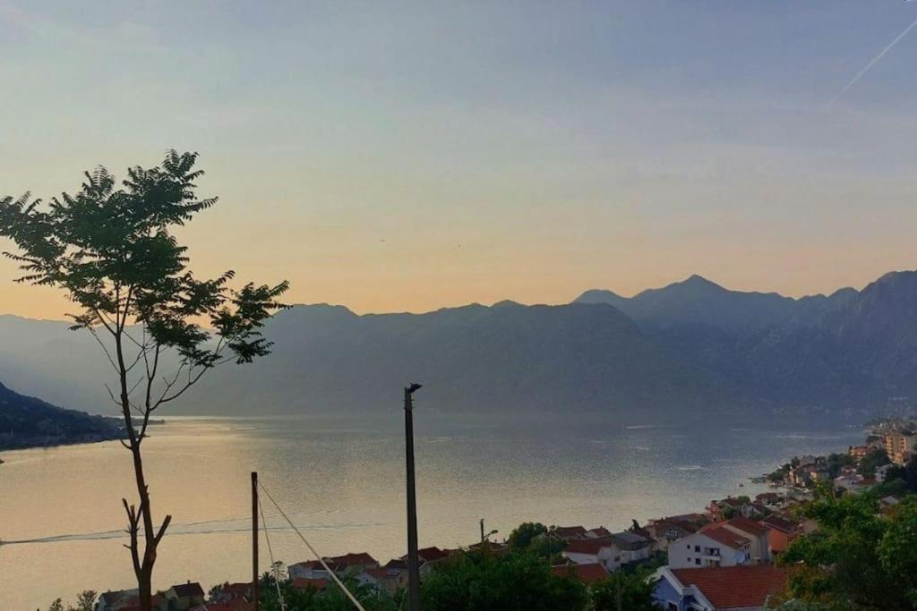 Apartmán Animil 1 Kotor Exteriér fotografie