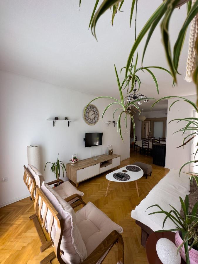 Apartmán Animil 1 Kotor Exteriér fotografie
