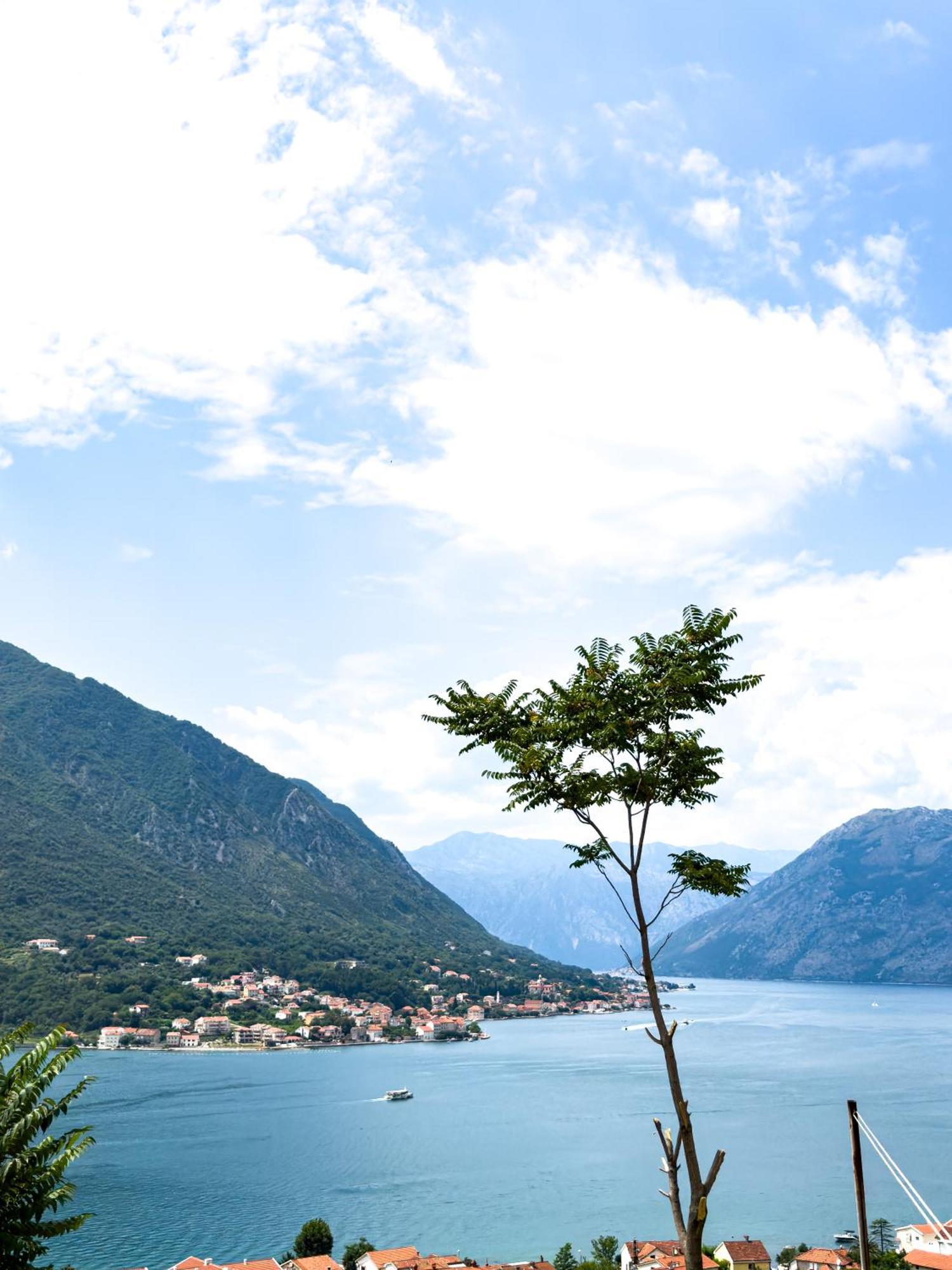 Apartmán Animil 1 Kotor Exteriér fotografie
